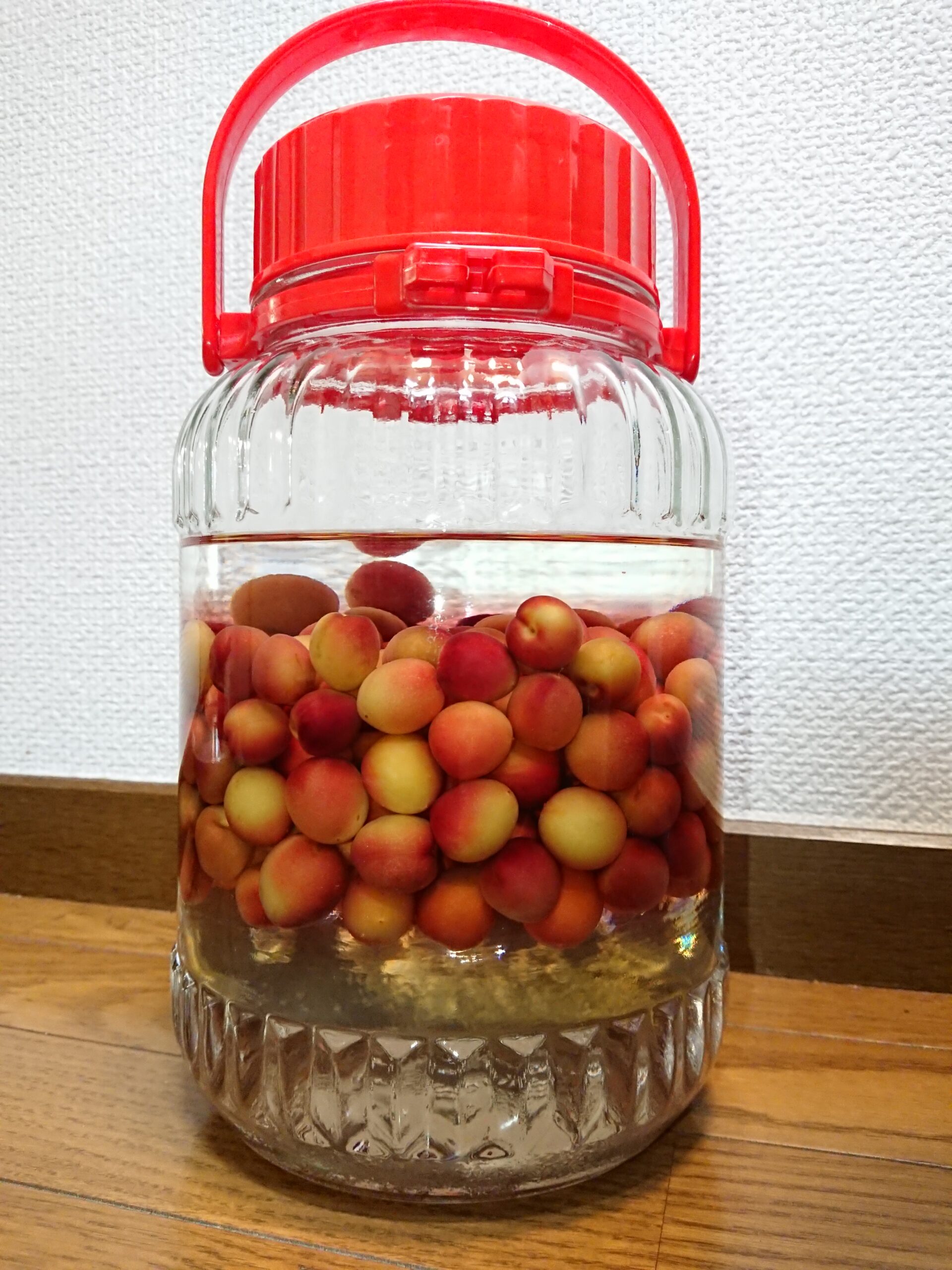 パープルクイーンの手作り梅酒！どーなってるの？